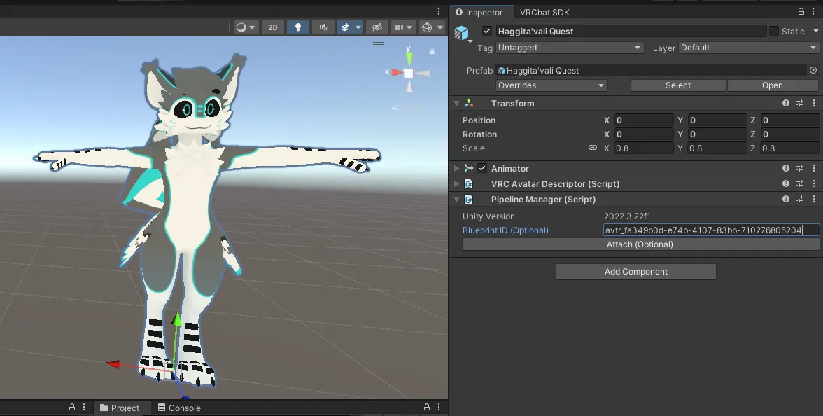 Unity Editor Quest setup